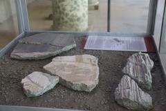 Exhibition in the Palaestra of Pompeii showing ancient artifacts and sculptures