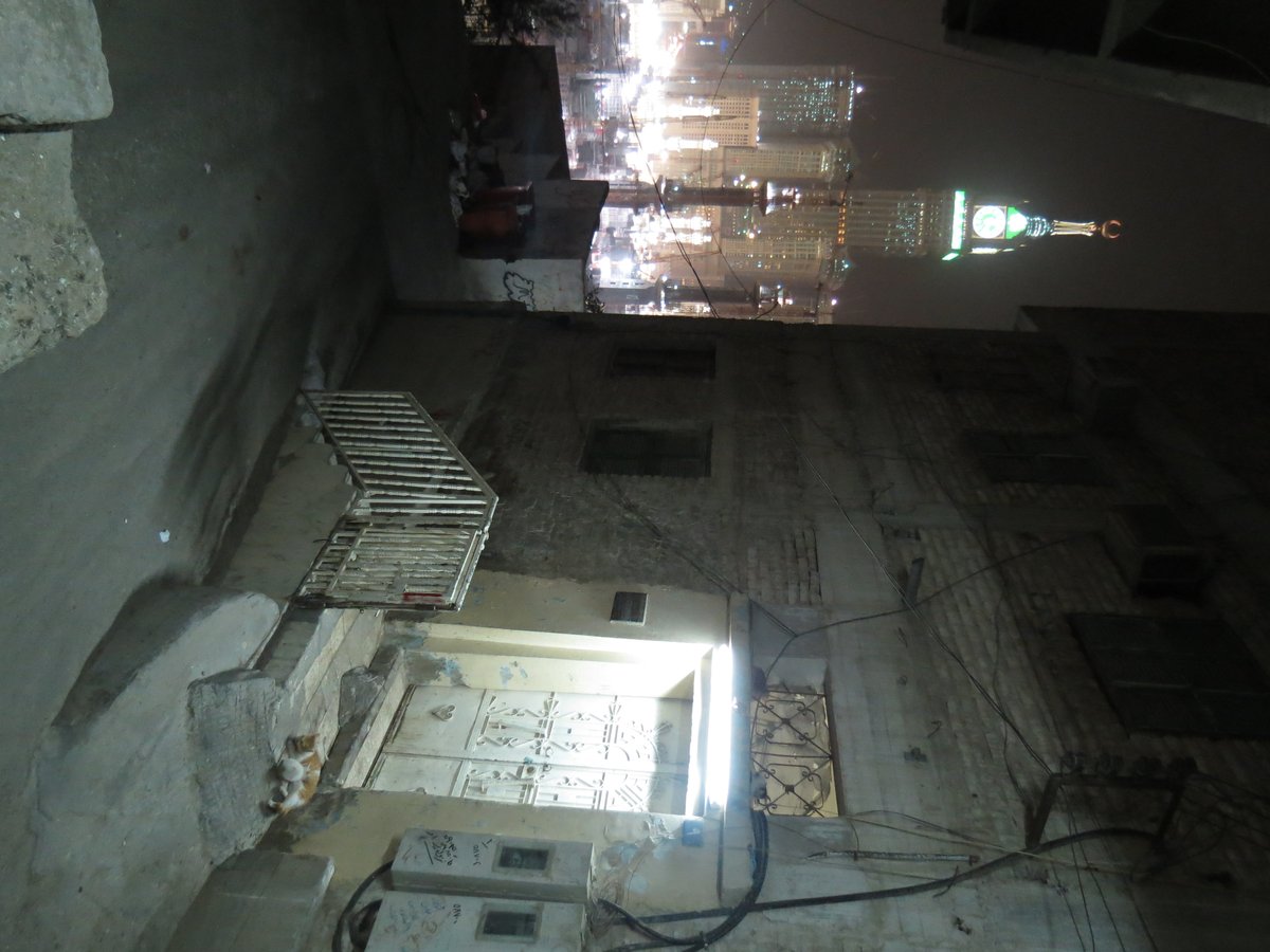 Cat and kitten sitting on the street in Makkah with clock tower in the background