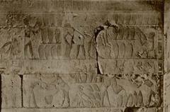 Ancient Egyptian beer production scene from the Mastaba of Ti, Old Kingdom