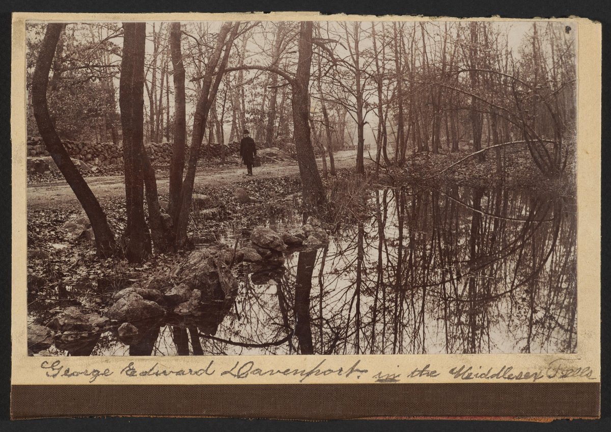 Vintage black and white photographs from 1873 to 1919