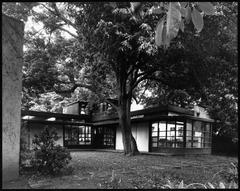 Exterior view of the R.M. Schindler residence and gardens in West Hollywood, California, featuring a one-story L-shaped house with a large sycamore tree and brick-paved pathway