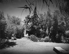 Exterior view of the R.M. Schindler House and gardens in West Hollywood, California, featuring garden furniture and tall bamboo trees
