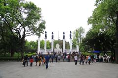 A serene view of Bosque de Chapultepec forest with tall trees and a peaceful green environment