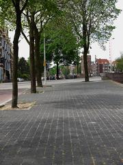 Trees along a wide walking path on the quay of Prins Hendrikkade in Amsterdam with Montelbaanstoren tower in the background