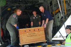 Sailors transporting sick sea turtles to Sea World San Diego for rehabilitation at Naval Air Station North Island
