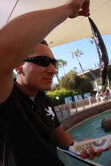 Lance Cpl. Aaron Kristopik feeding a sea lion at SeaWorld San Diego