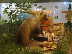 Museum Of Man And Nature