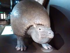 Glyptodon replica at Museum Mensch & Natur in Munich