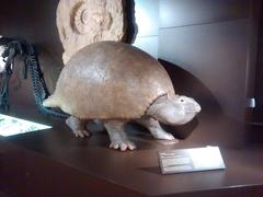 Glyptodon replica in Museum Mensch & Natur Munich