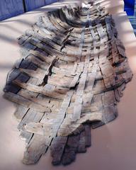 Roman ship wreck remains at Mainz
