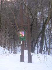 Protected landscape area Moravsky kras with rugged limestone formations and lush greenery