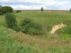 Jandourkovy závrty karst landscape with sinkholes and rocky terrain