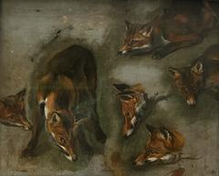 Detailed oil painting of a fox by Pieter Boel, 1668