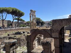 Ruins of Venus Genetrix Temple with Colosseum in background