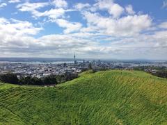 A scenic view of Auckland city skyline in New Zealand with a clear blue sky