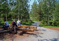 Log benches in Zaryadye Park Moscow