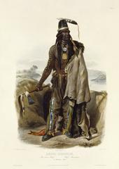 Portrait of Abdih-Hiddisch, a Minatarre chief, painted by Karl Bodmer