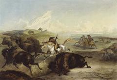 Indigenous Americans hunting bison on horseback with spears in a prairie setting
