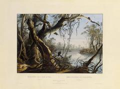 Painting of the mouth of Fox River in Indiana by Karl Bodmer