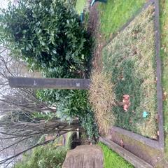 Grave of German educational scientist Gesine Spieß at Nordfriedhof Düsseldorf