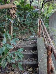 Stone stairs leading to an abandoned house surrounded by lush green vegetation in Kamakura