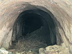 Artificial cave or tunnel entrance in Kamakura Japan surrounded by trees and stone walls