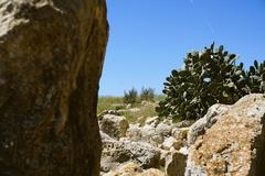 Orthostate stone at Borġ in-Nadur archaeological site