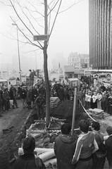 First tree planted on Weesperplein in Amsterdam after completion of metro construction in 1977