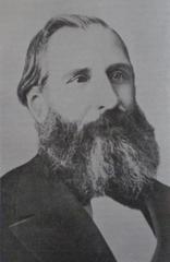 Portrait of Adolfo Alsina in formal attire