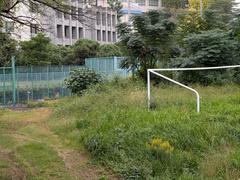 Abandoned sports fields in Komazawa 1chome-1 with overgrown grass and old goalposts