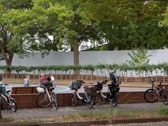 Old exercise equipment in Komazawa Olympic Park Japan