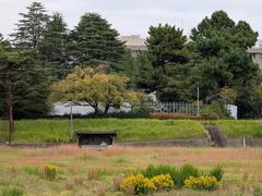 Abandoned sports fields at Komazawa 1chome-1 with overgrown grass and deteriorated facilities