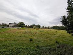 Abandoned sports fields at Komazawa 1chome-1 with overgrown grass and empty rundown facilities