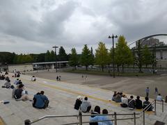 Komazawa Olympic Park with lush green trees and vibrant autumn foliage