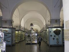 Interior hall of the Zoological Museum in Saint Petersburg