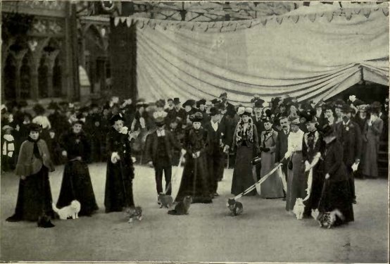 Judging dog show in the ring at the Crystal Palace with spectators in background