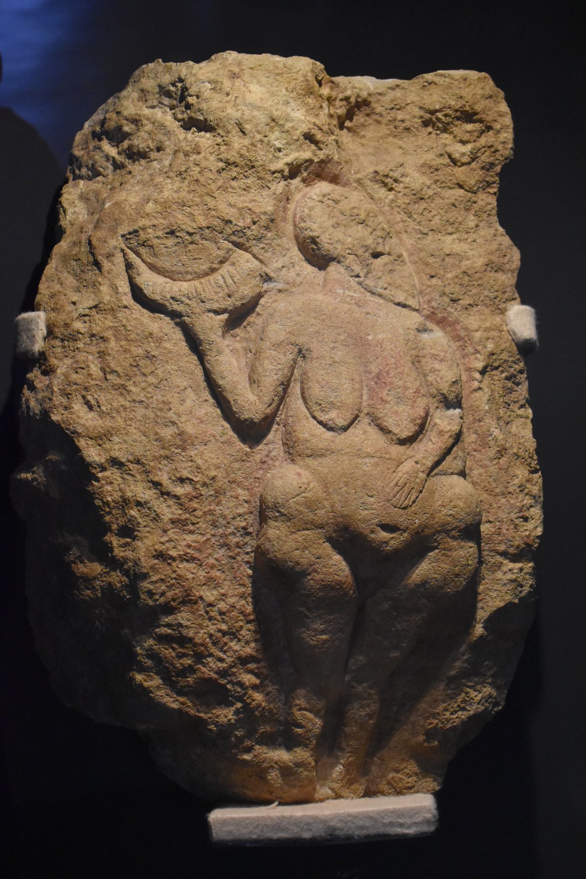 Venus figurine with horn from the prehistory collection at the Musée d'Aquitaine