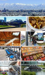 Montage showcasing iconic landmarks and features of Toyama City