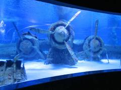 Antalya Aquarium