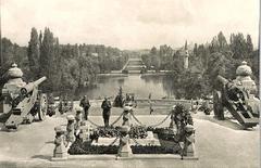 Parco Carol