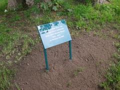 Park An Der Ilm