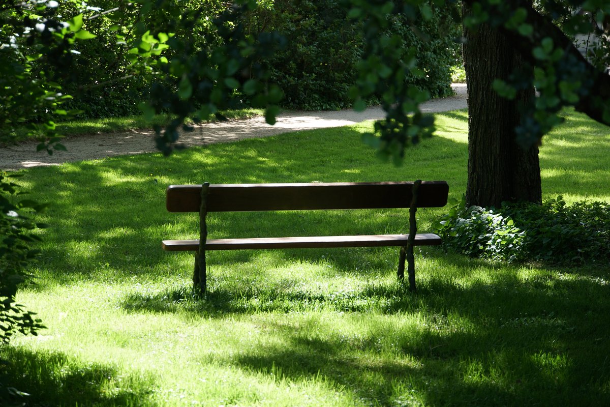 Park bench in Parque de El Capricho surrounded by lush greenery and trees