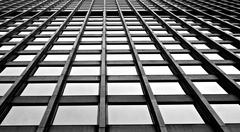 Chicago Federal Center Kluczynski Building