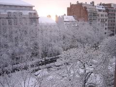 Winter view of Avenue Louise in Brussels with trees and buildings