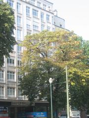 Building on Avenue Louise in Brussels