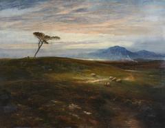 Dawn over a Scottish moorland landscape with rolling hills and soft morning light