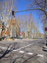 Paseo del Prado street view in Madrid with trees, buildings and pedestrians