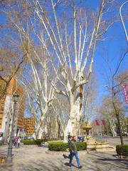 Paseo del Prado in Madrid with historical buildings and greenery