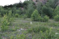 Růženin lom quarry with surrounding greenery and distant hills under blue sky