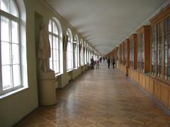 Hallway interior of the Twelve Collegia building at St. Petersburg State University with decorative columns and detailed ceiling